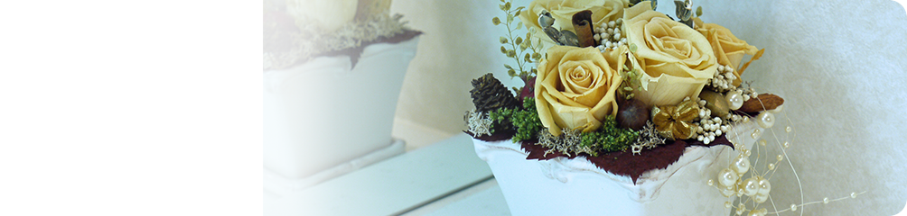 日立市・田所歯科医院・インプラントについて